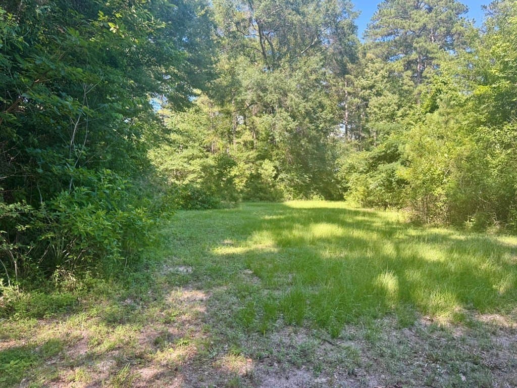 20.4 acres in Texas County - photo 11