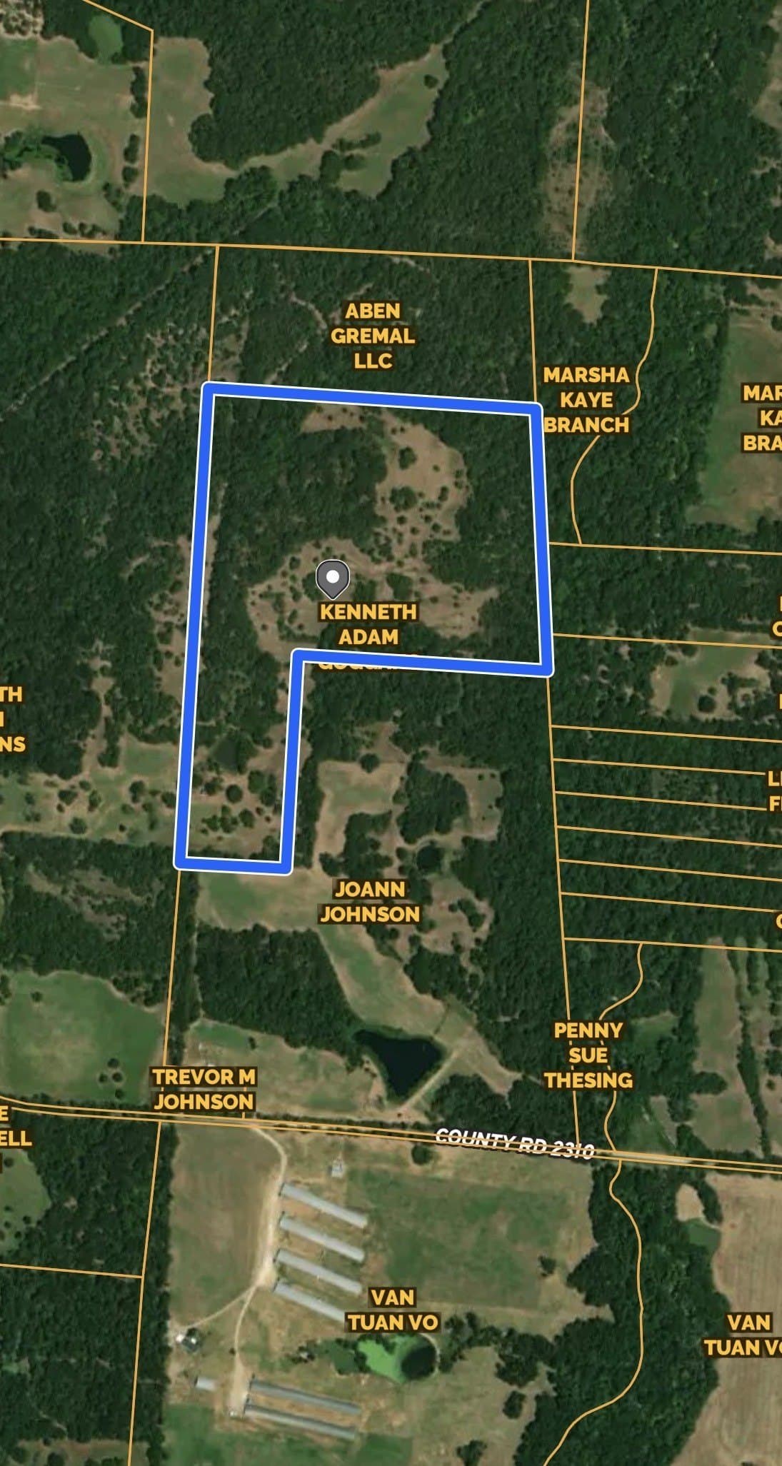 234.38 acres in Hopkins County - photo 5