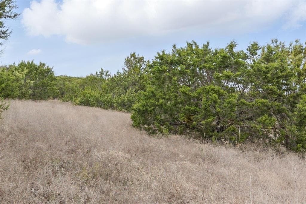 12 acres in Hood County gallery image 3