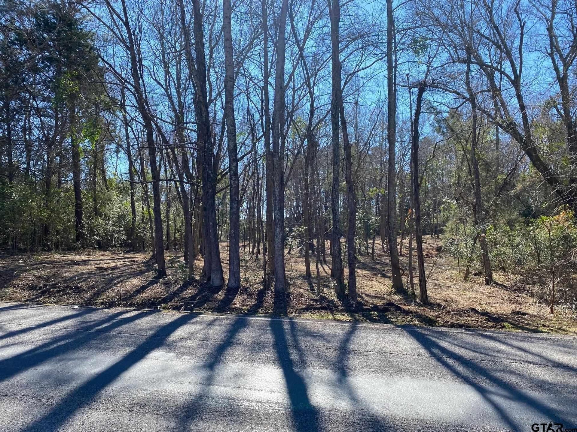 2.44 acres in Smith County - photo 6