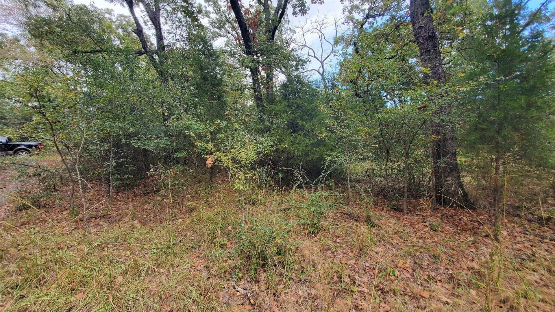 0.37 acres in Henderson County - photo 14