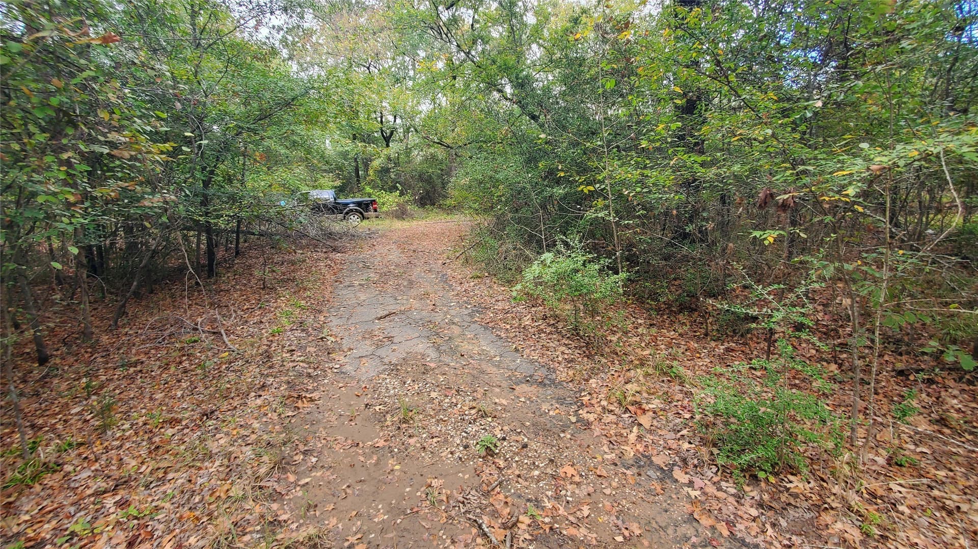 0.37 acres in Henderson County - photo 7