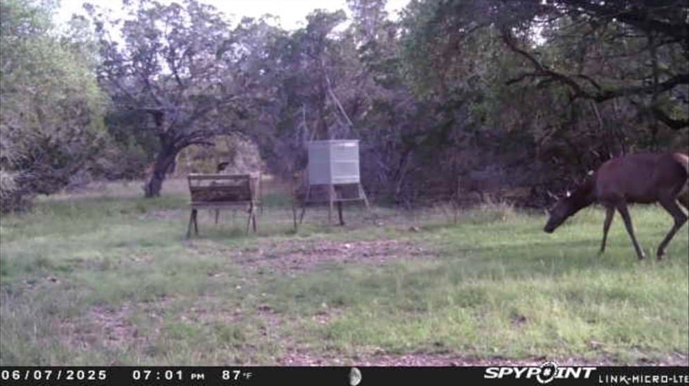 30.19 acres in Kerr County - photo 10