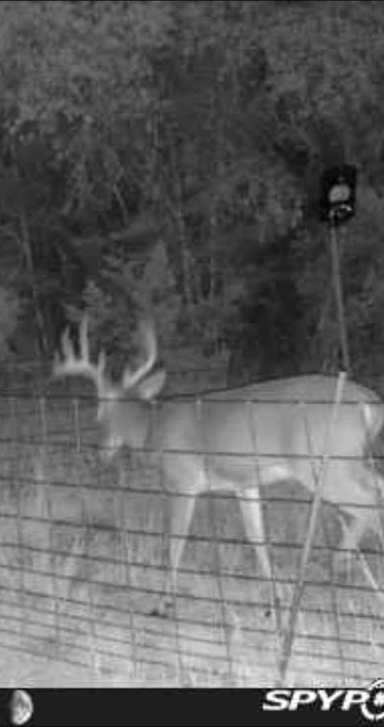 30.19 acres in Kerr County gallery image 3