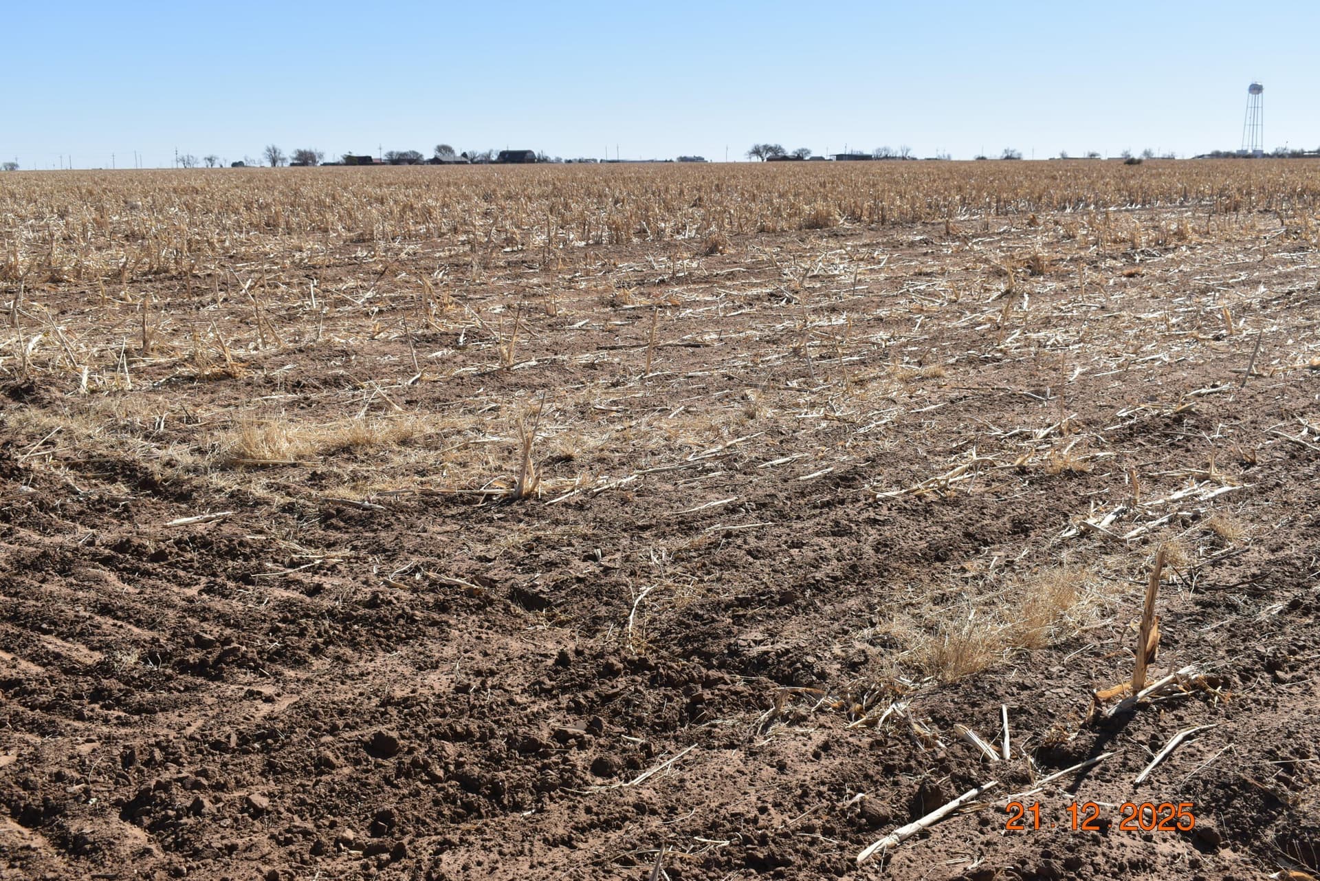 127.92 acres in Lubbock County - photo 7