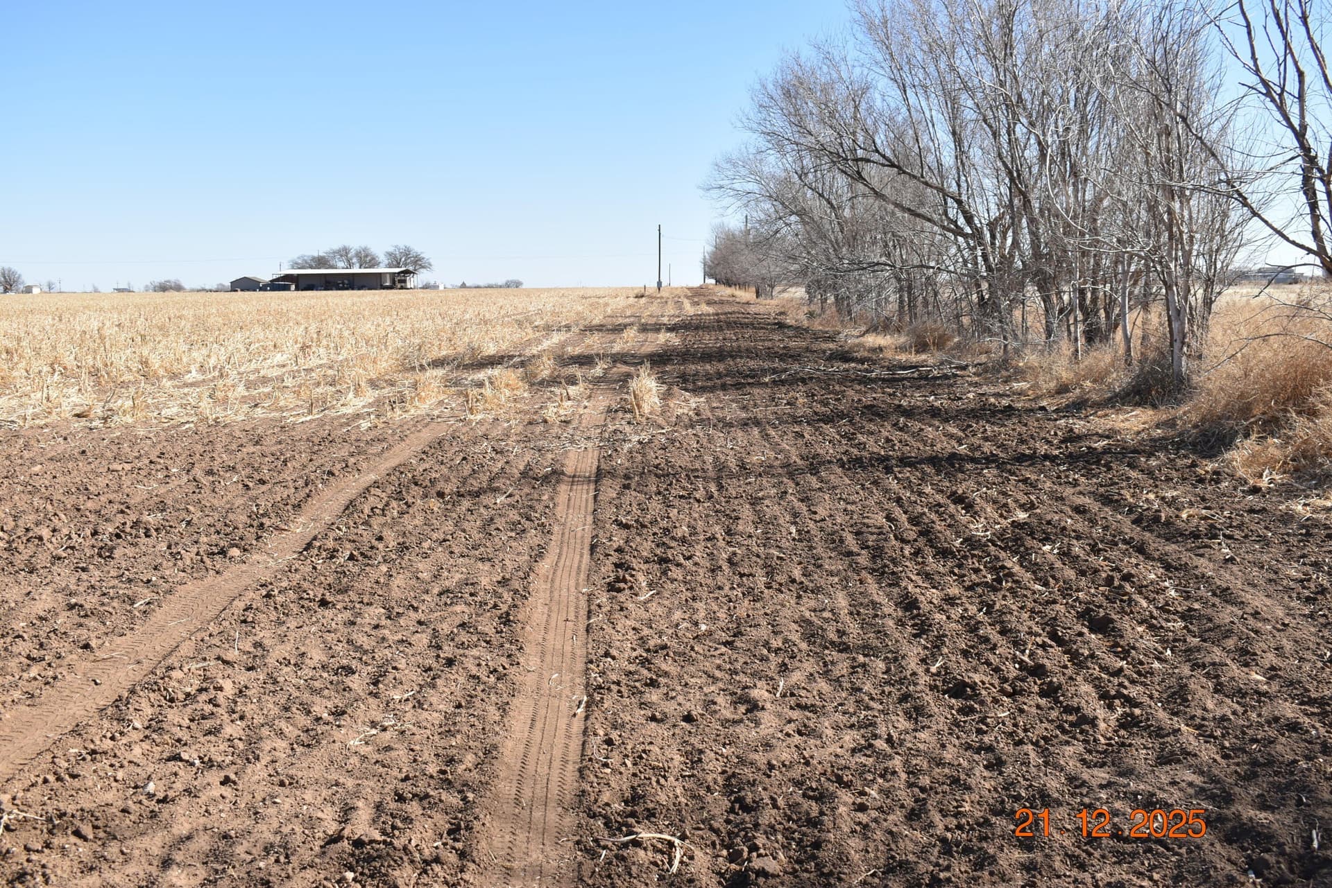 127.92 acres in Lubbock County - photo 11