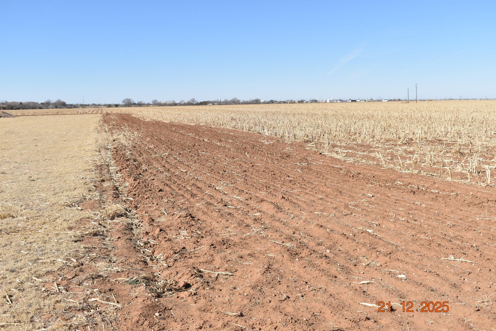127.92 acres in Lubbock County gallery image 4