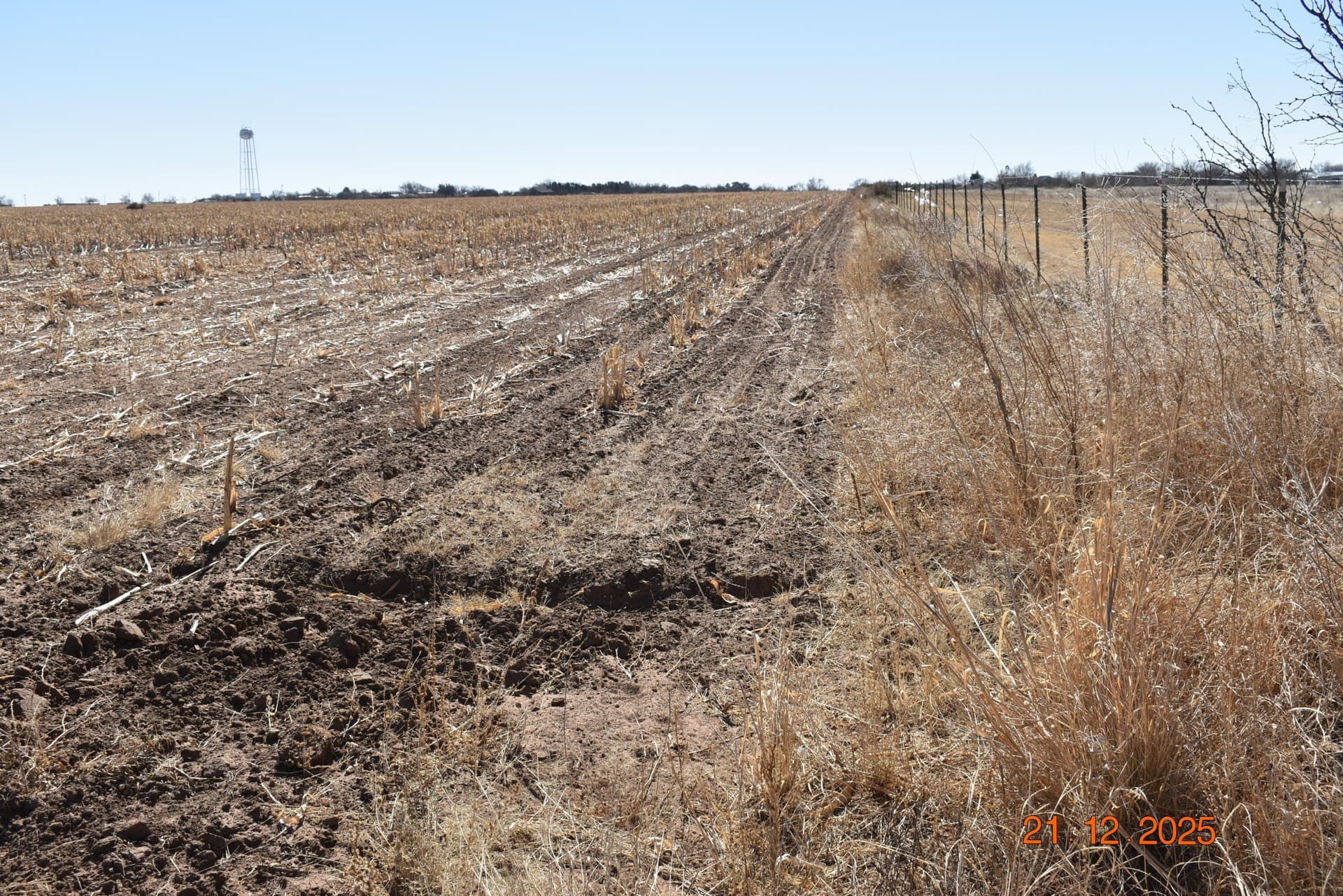 127.92 acres in Lubbock County - photo 8