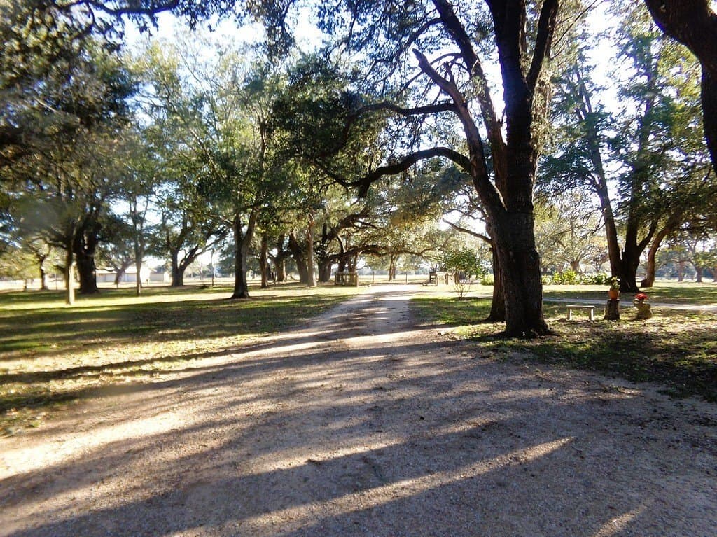 2 acres in Colorado County gallery image 2