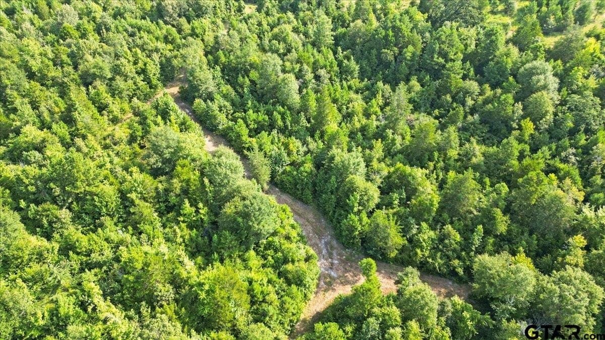 32 acres in Upshur County - photo 15