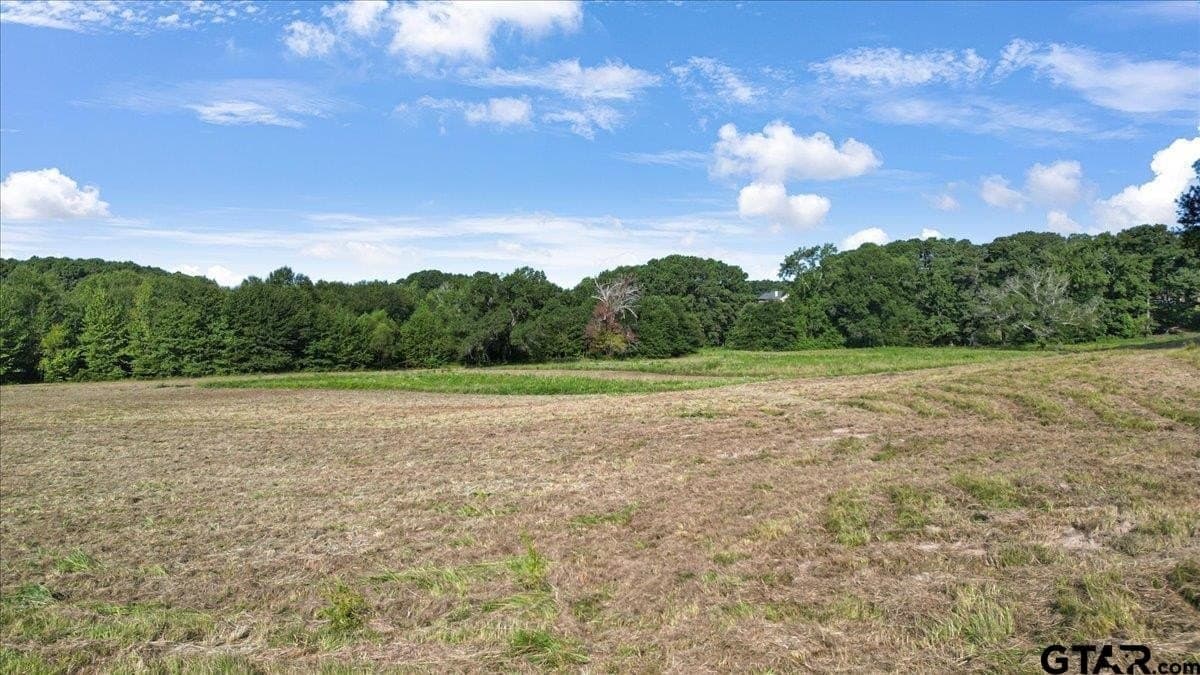 32 acres in Upshur County - photo 6