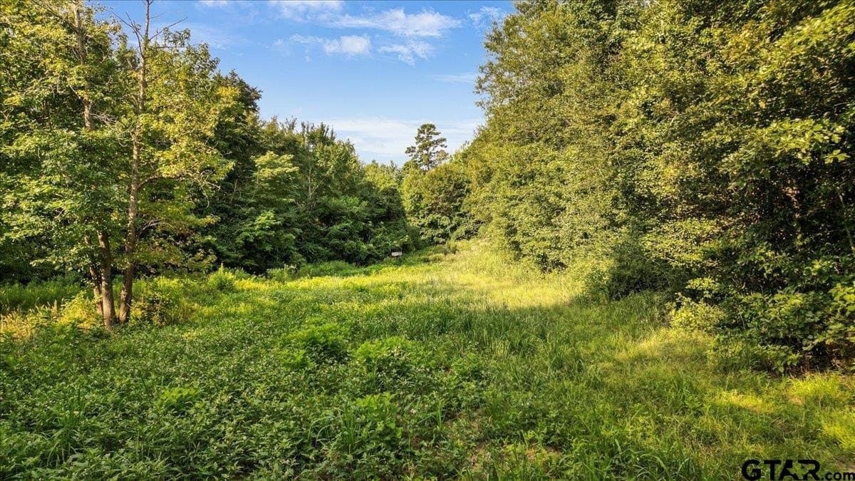 32 acres in Upshur County - photo 10