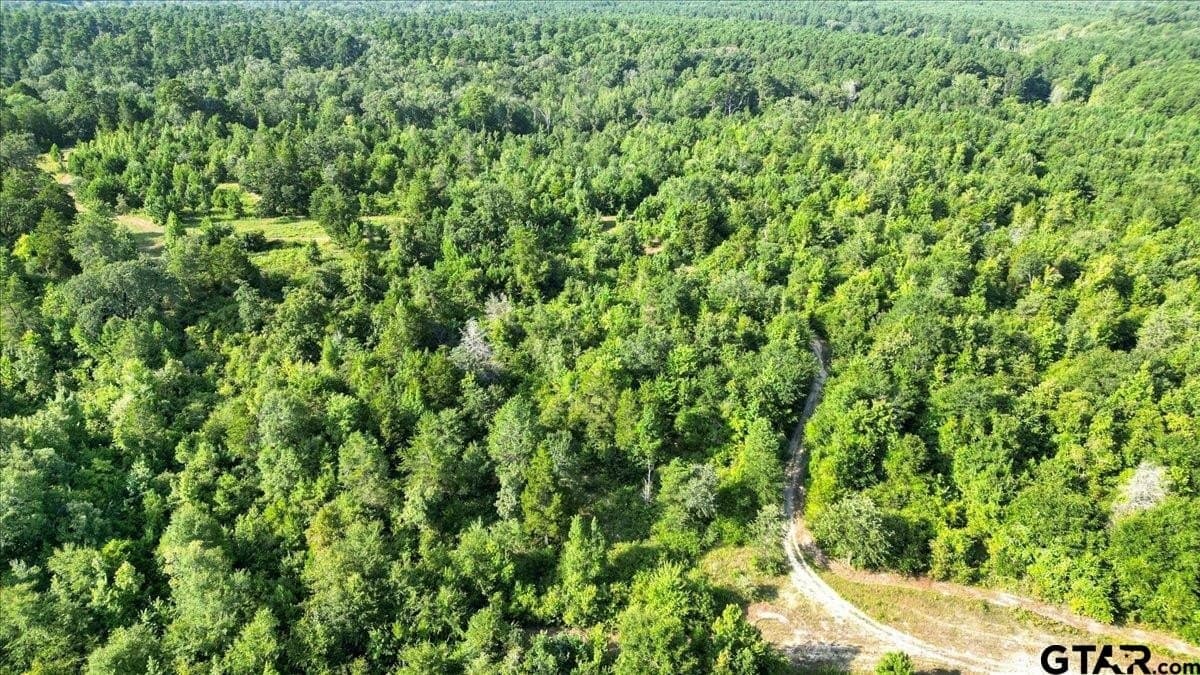 32 acres in Upshur County - photo 13