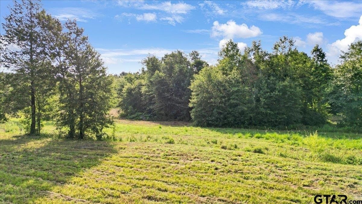 32 acres in Upshur County - photo 9