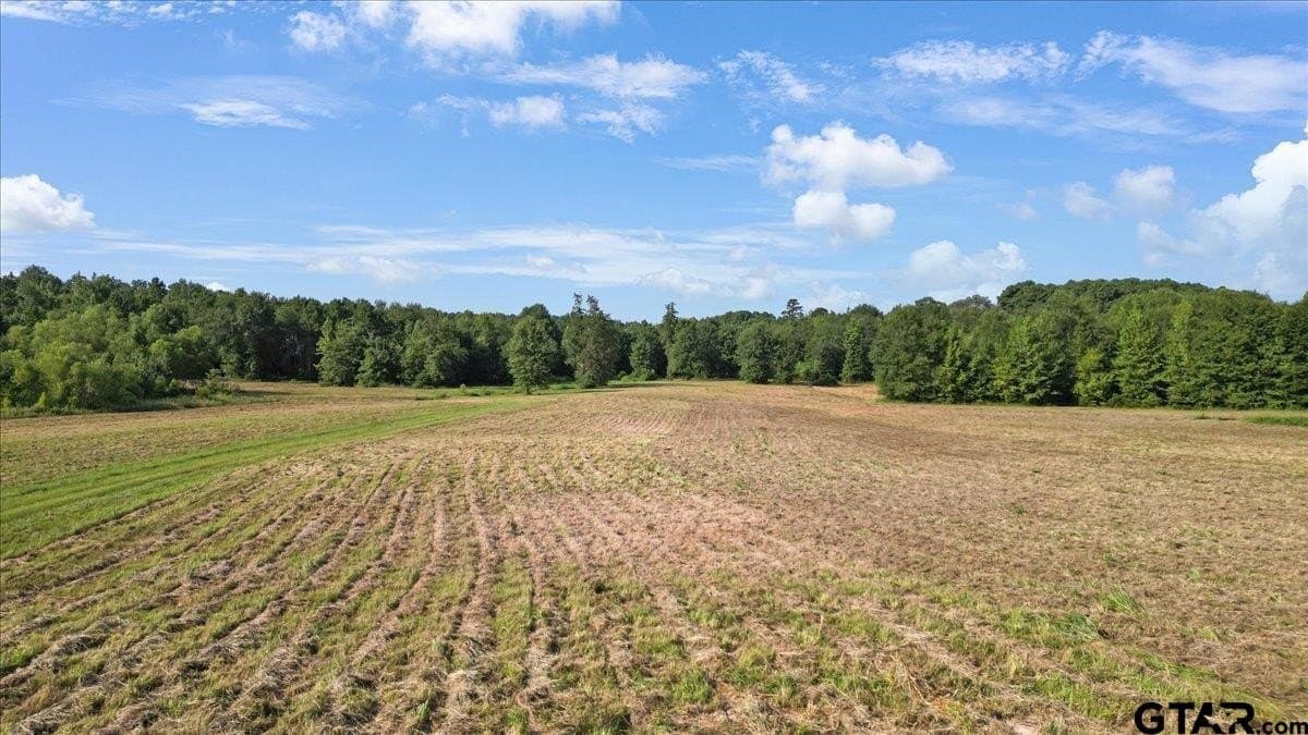 32 acres in Upshur County - photo 7