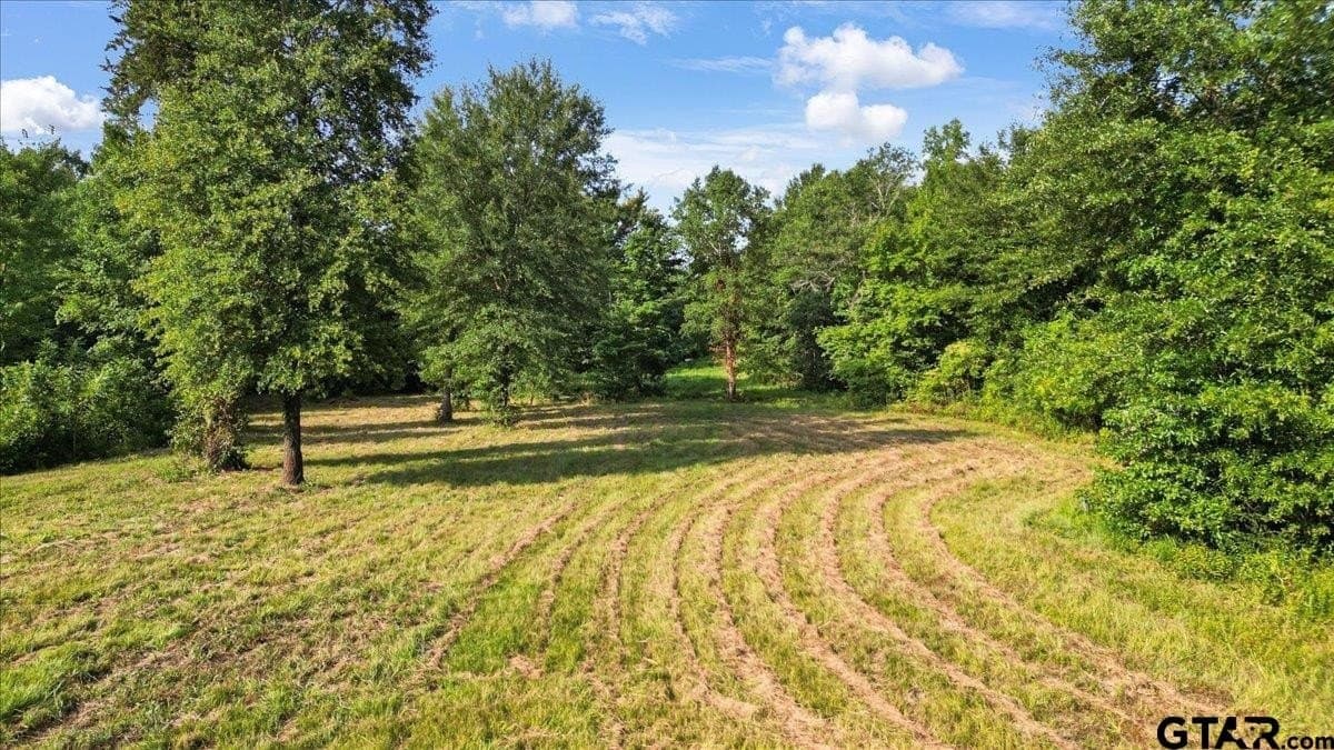 32 acres in Upshur County gallery image 2