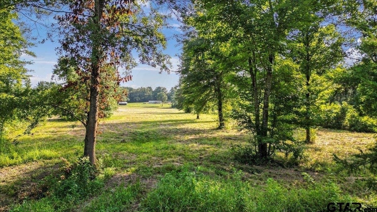32 acres in Upshur County - photo 11
