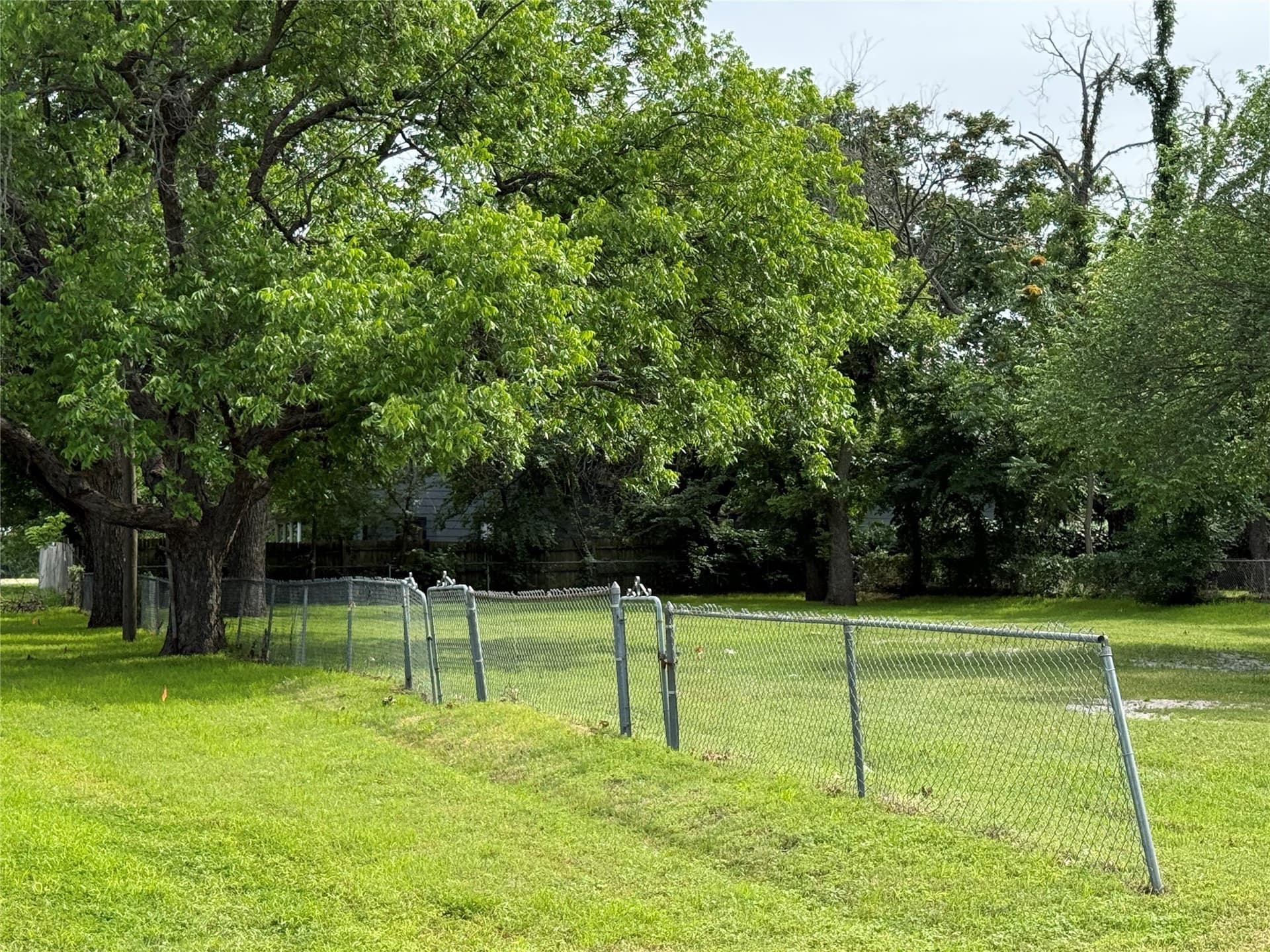 0.27 acres in Wise County gallery image 4