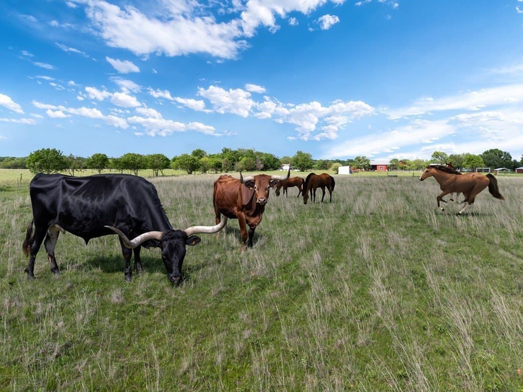 12.26 acres in Van Zandt County - photo 3