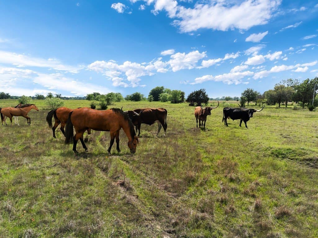 12.26 acres in Van Zandt County - photo 4