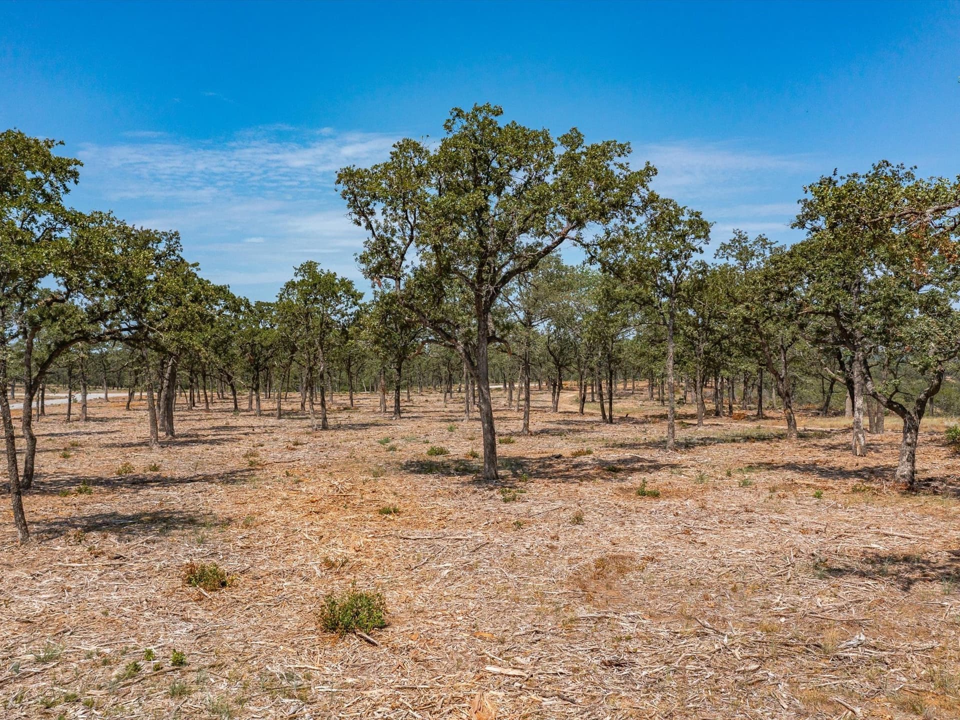 2 acres in Montague County gallery image 3