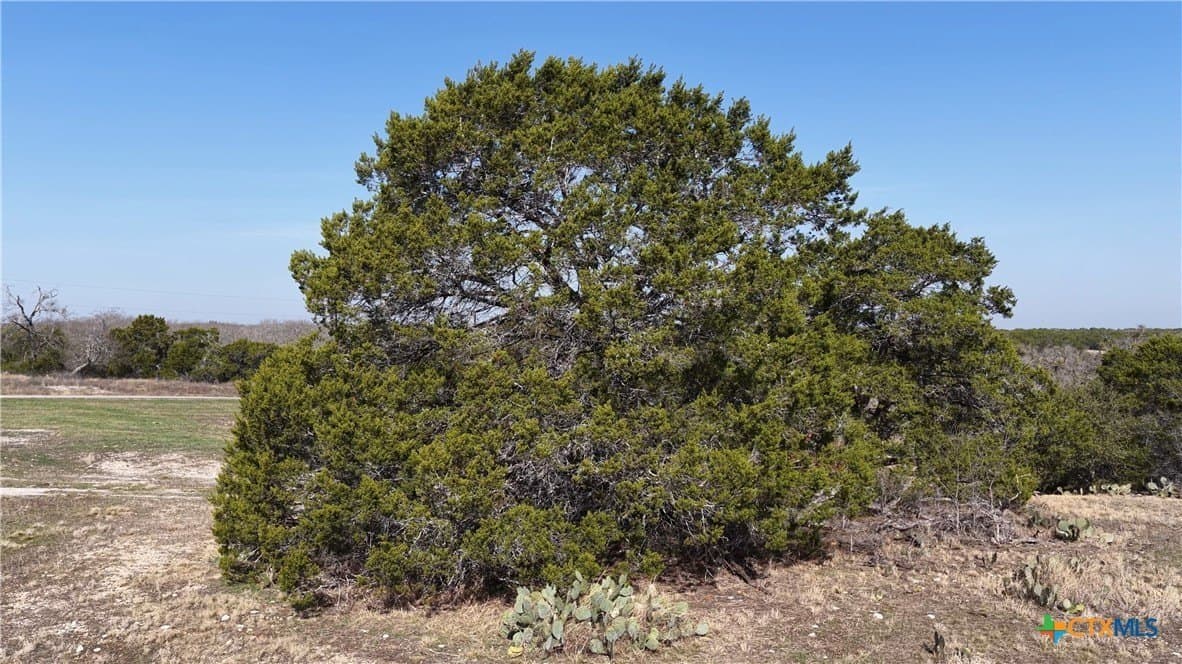 3.21 acres in Burnet County - photo 19
