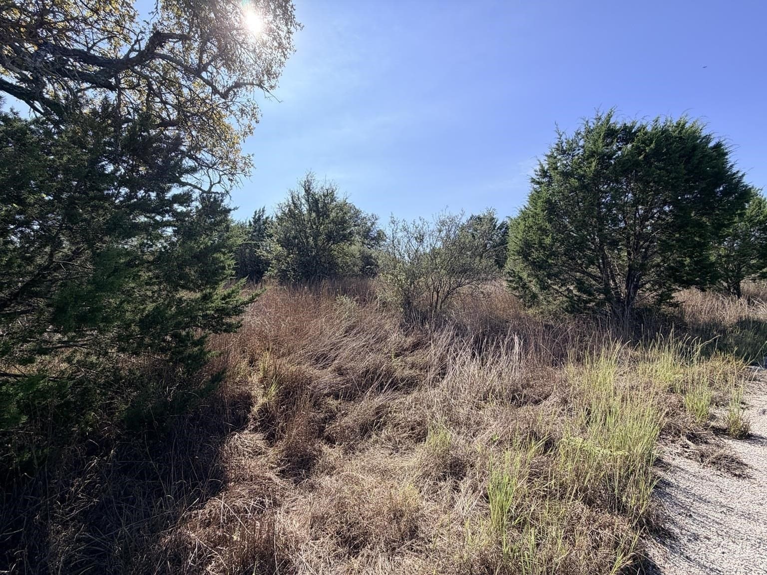 0.21 acres in Burnet County - photo 7