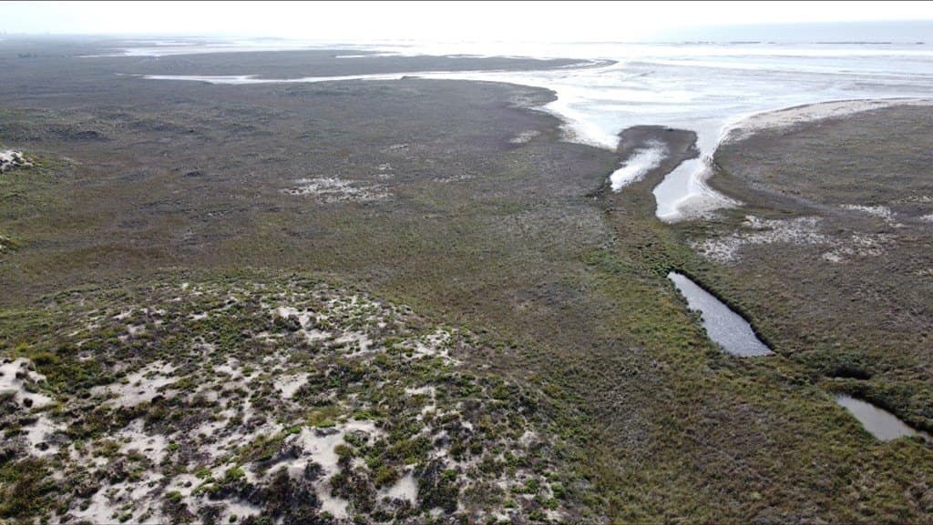 0 acres in Cameron County gallery image 3