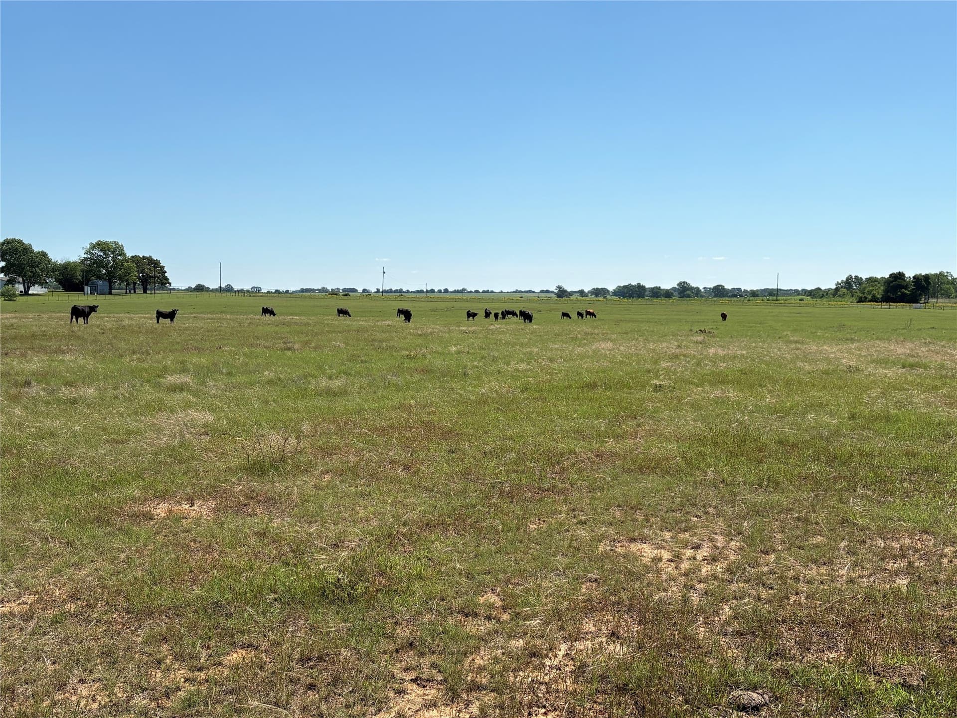 70.92 acres in Comanche County - photo 12