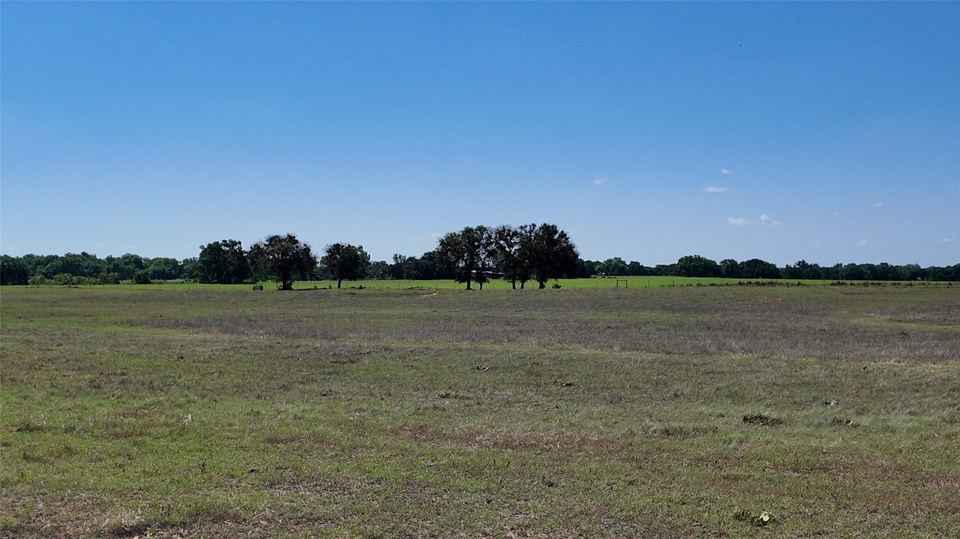 70.92 acres in Comanche County - photo 14