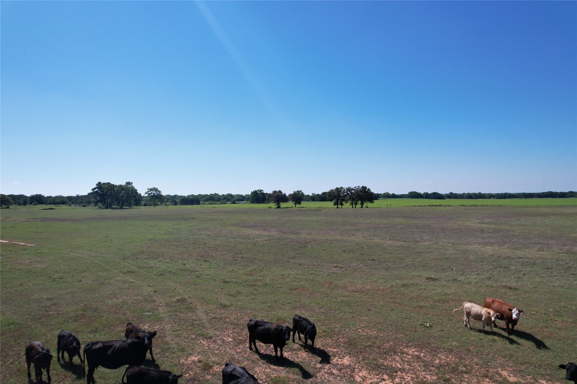 70.92 acres in Comanche County - photo 25