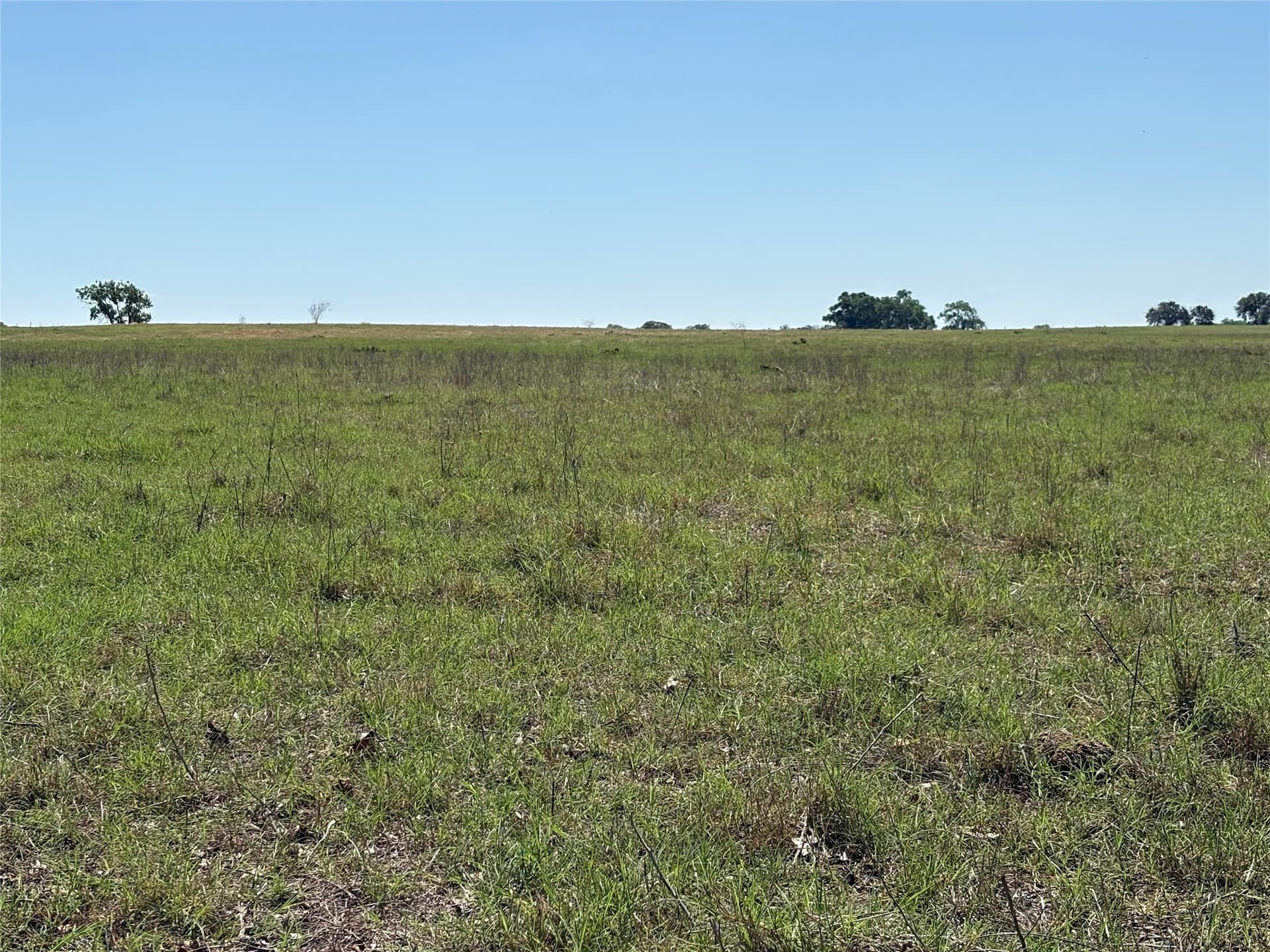 70.92 acres in Comanche County - photo 7
