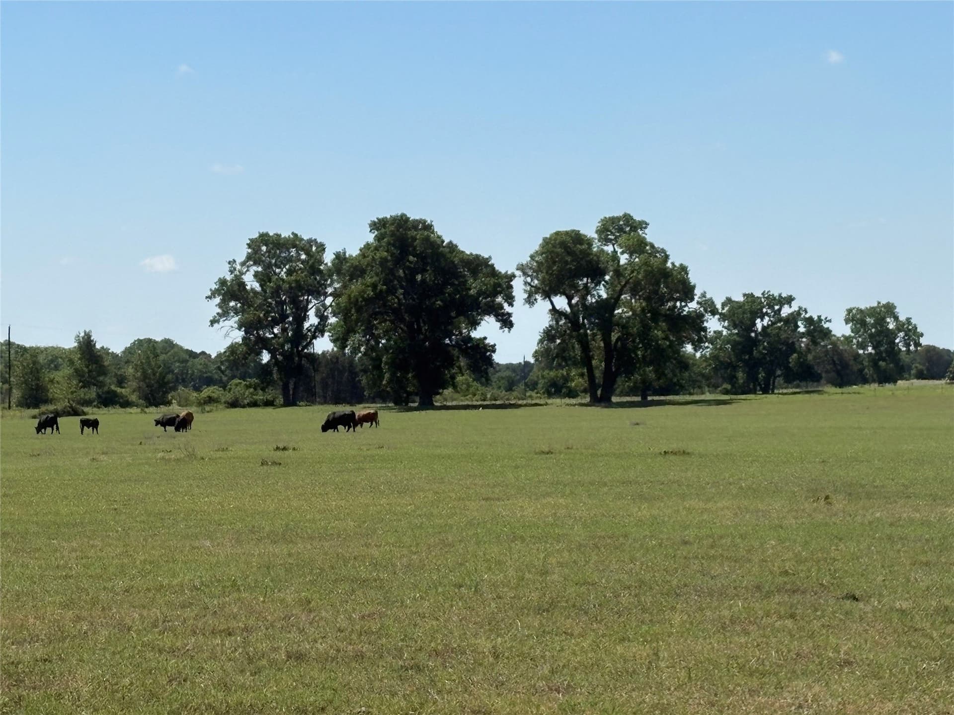 70.92 acres in Comanche County