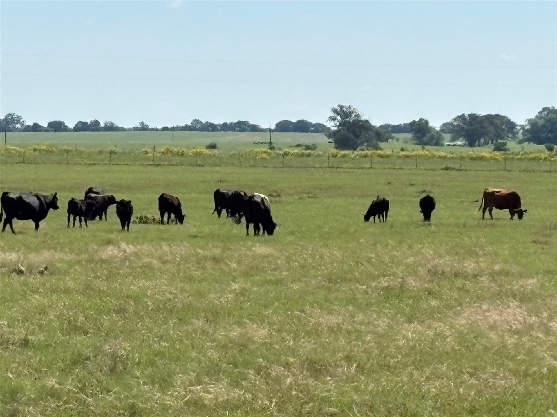 70.92 acres in Comanche County - photo 9