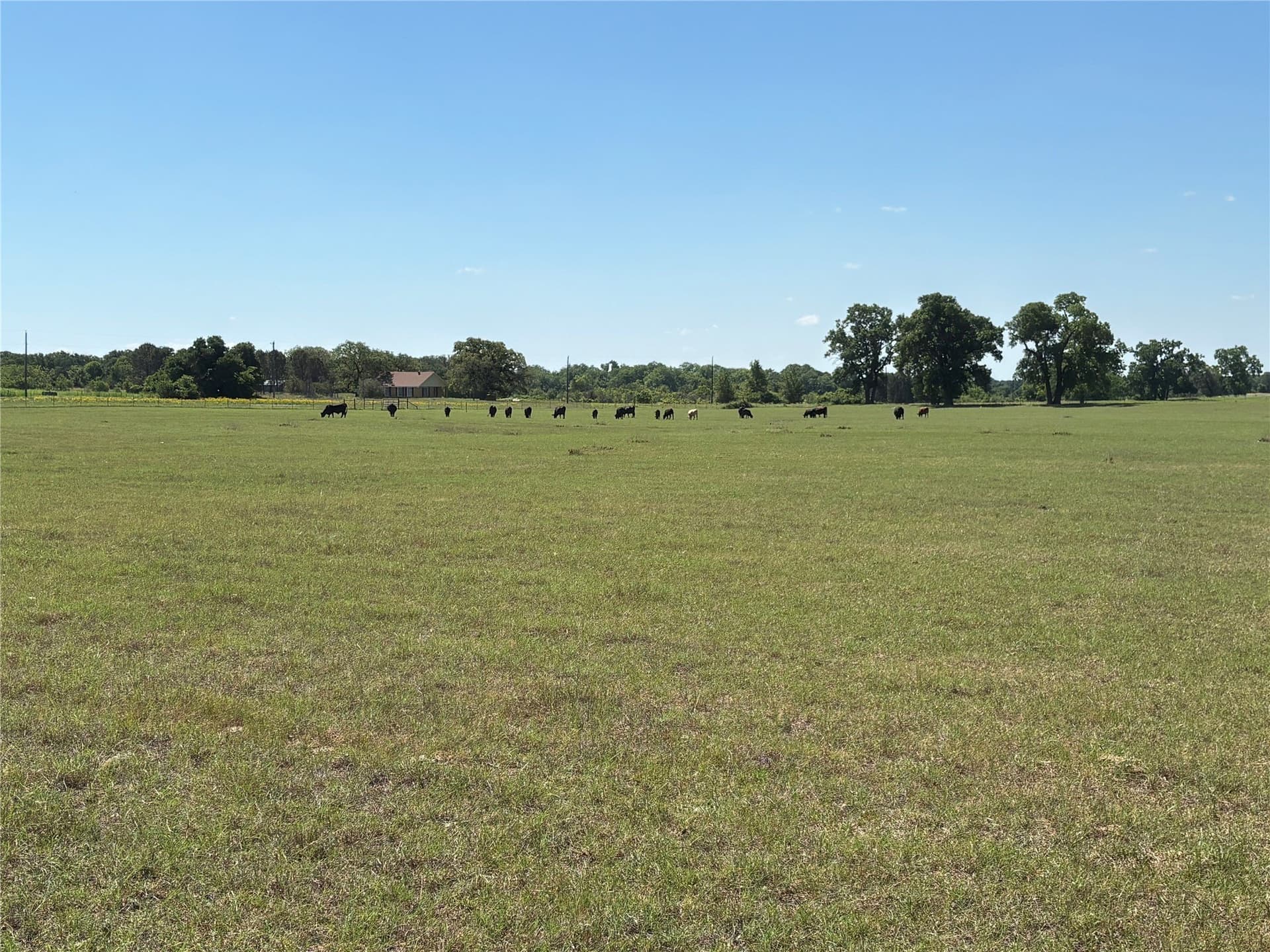 70.92 acres in Comanche County gallery image 2