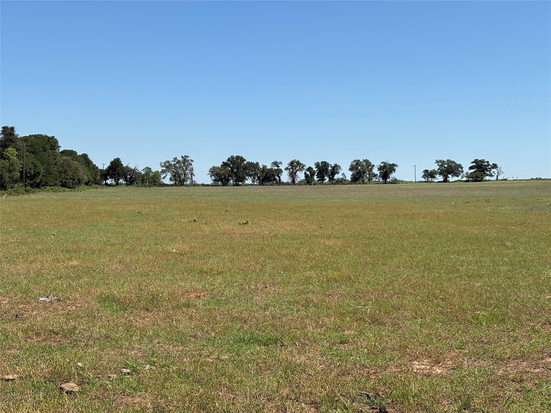 70.92 acres in Comanche County - photo 8