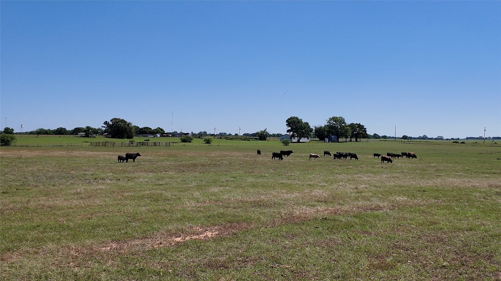 70.92 acres in Comanche County - photo 16