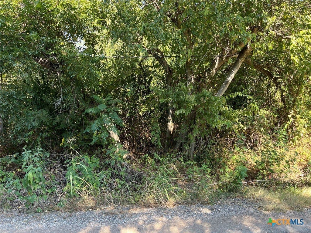 0.4 acres in Bell County - photo 7