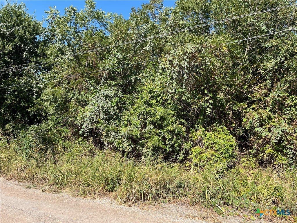 0.4 acres in Bell County - photo 4