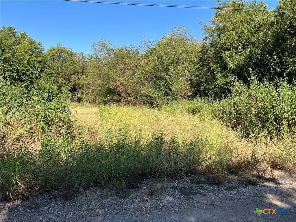 0.4 acres in Bell County - photo 6