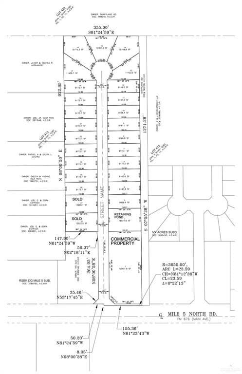 0.28 acres in Hidalgo County gallery image 2