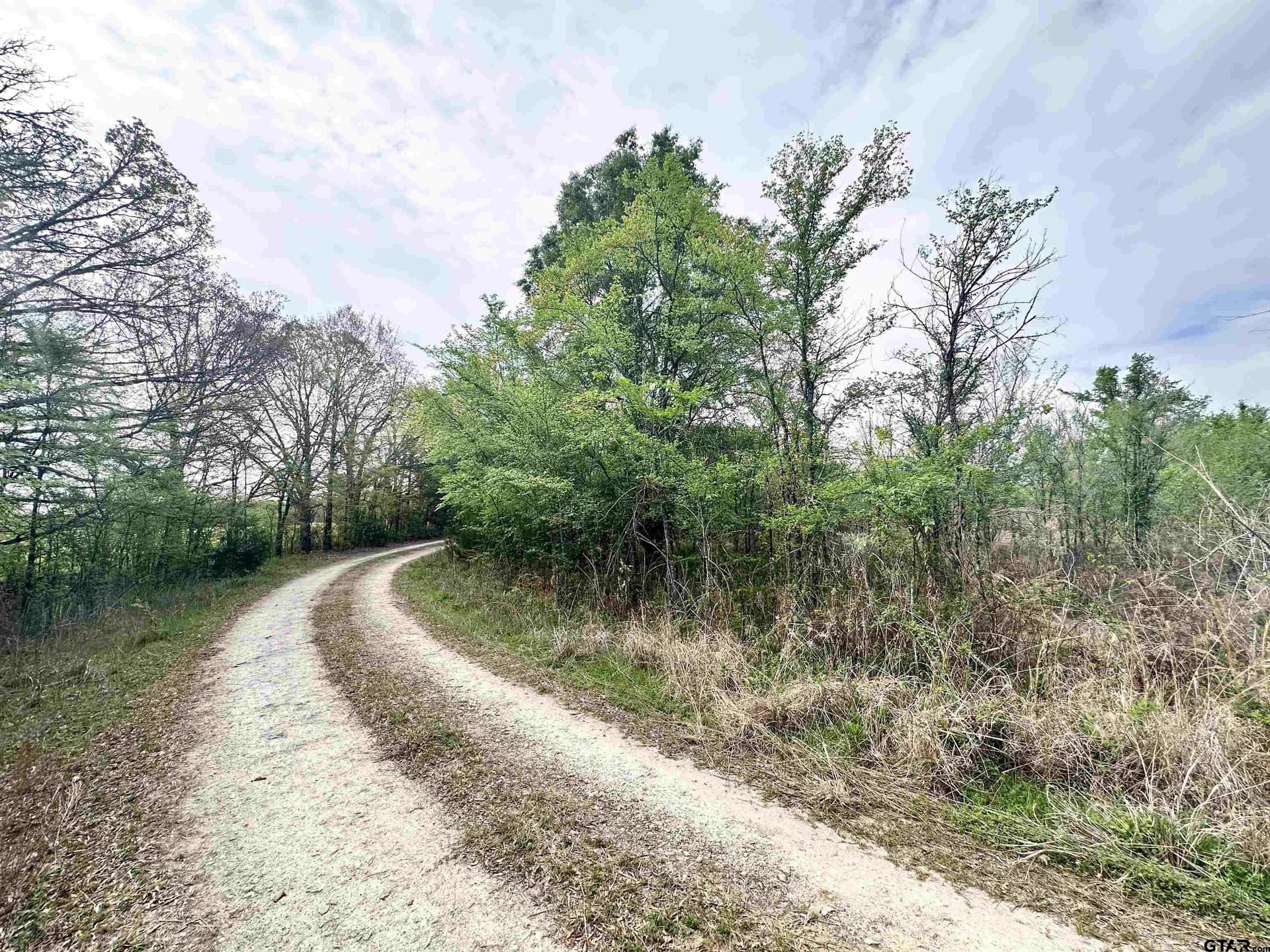 13.21 acres in Henderson County featured view