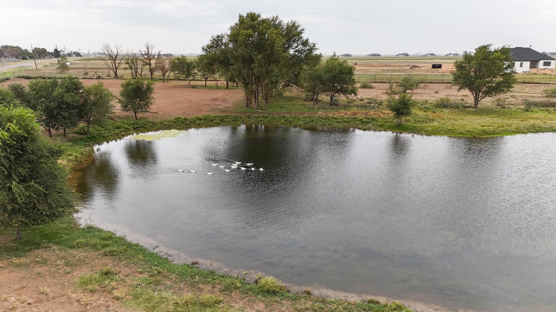 1 acres in Lubbock County - photo 6