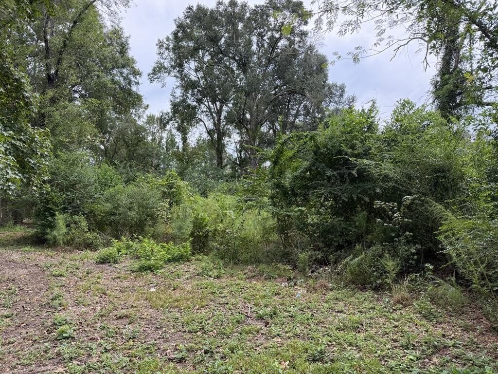 5 acres in Texas County - photo 2