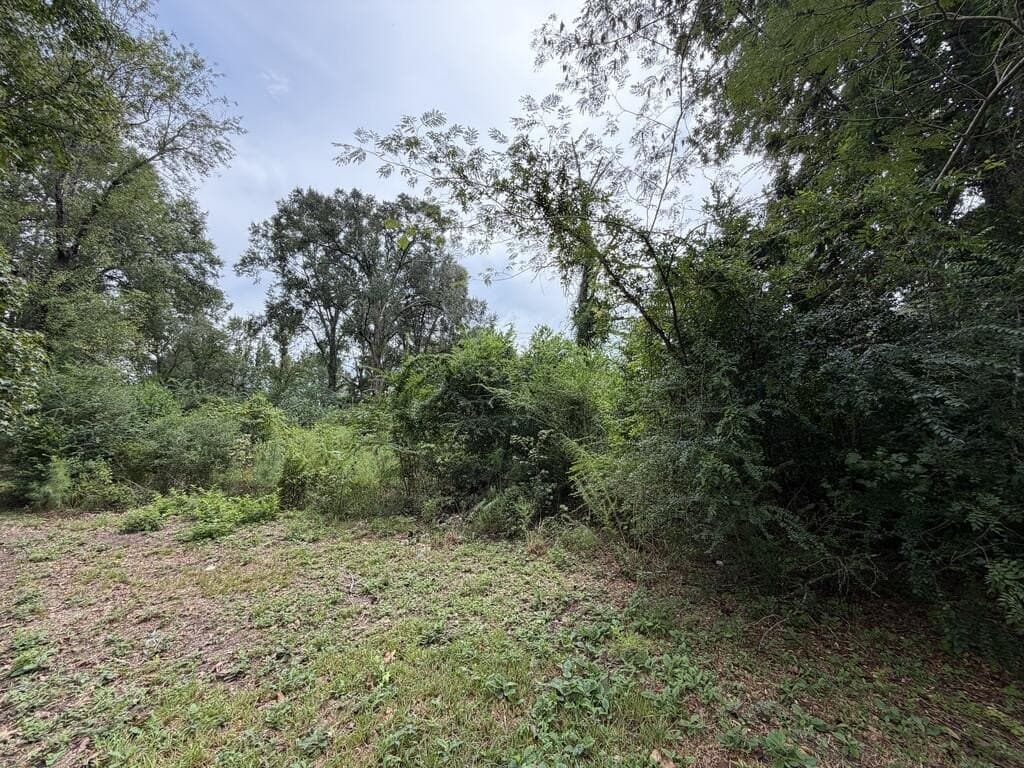5 acres in Texas County - photo 3
