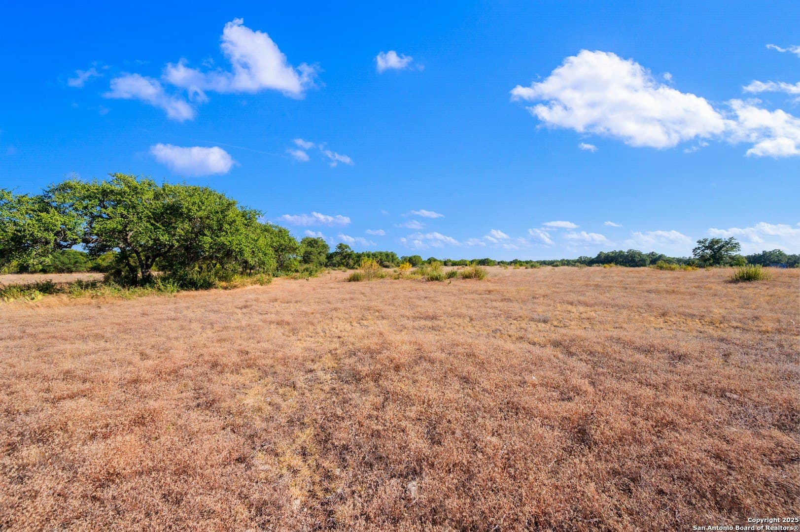20.14 acres in Blanco County gallery image 3