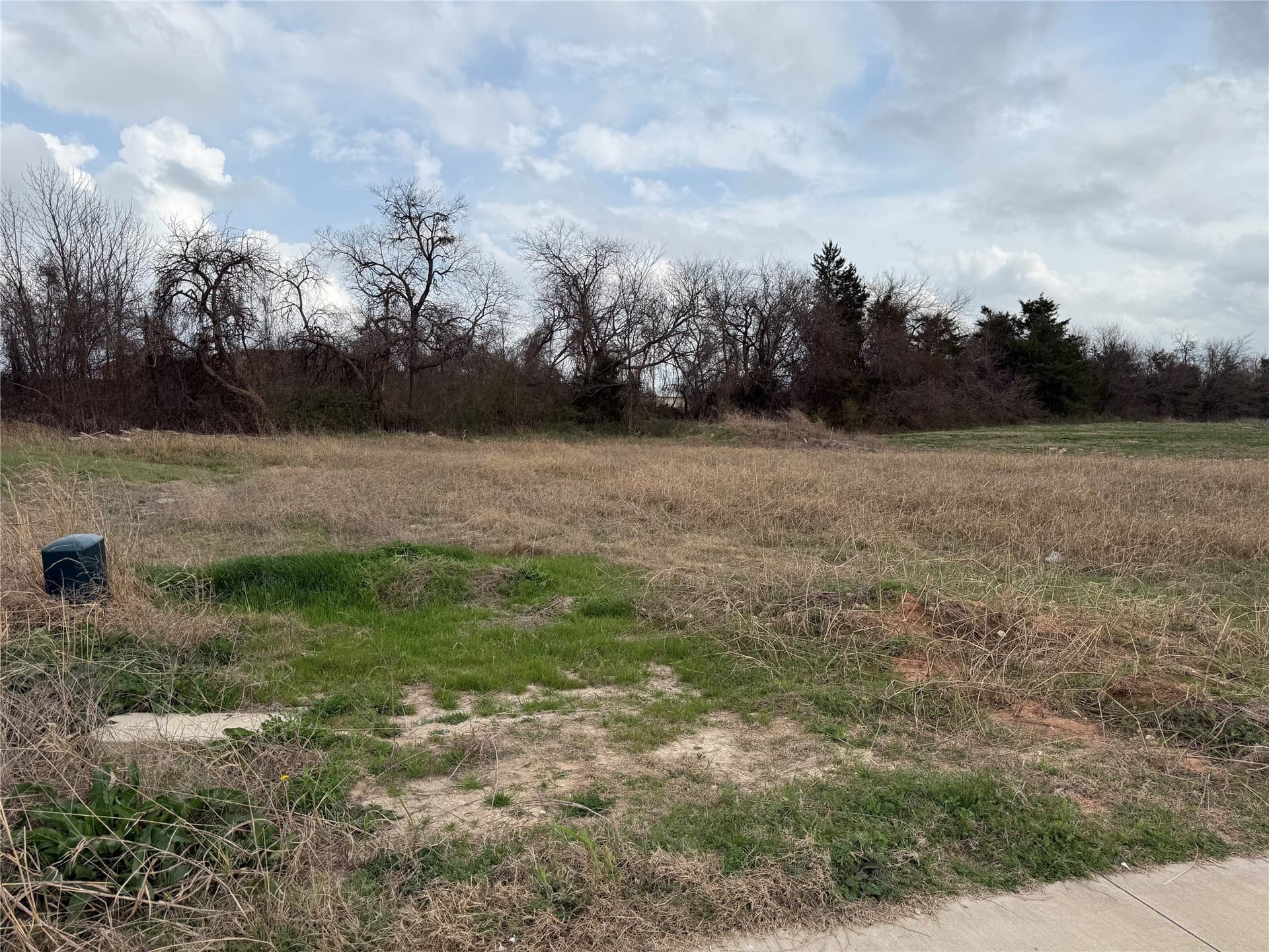 0.42 acres in Fannin County - photo 2