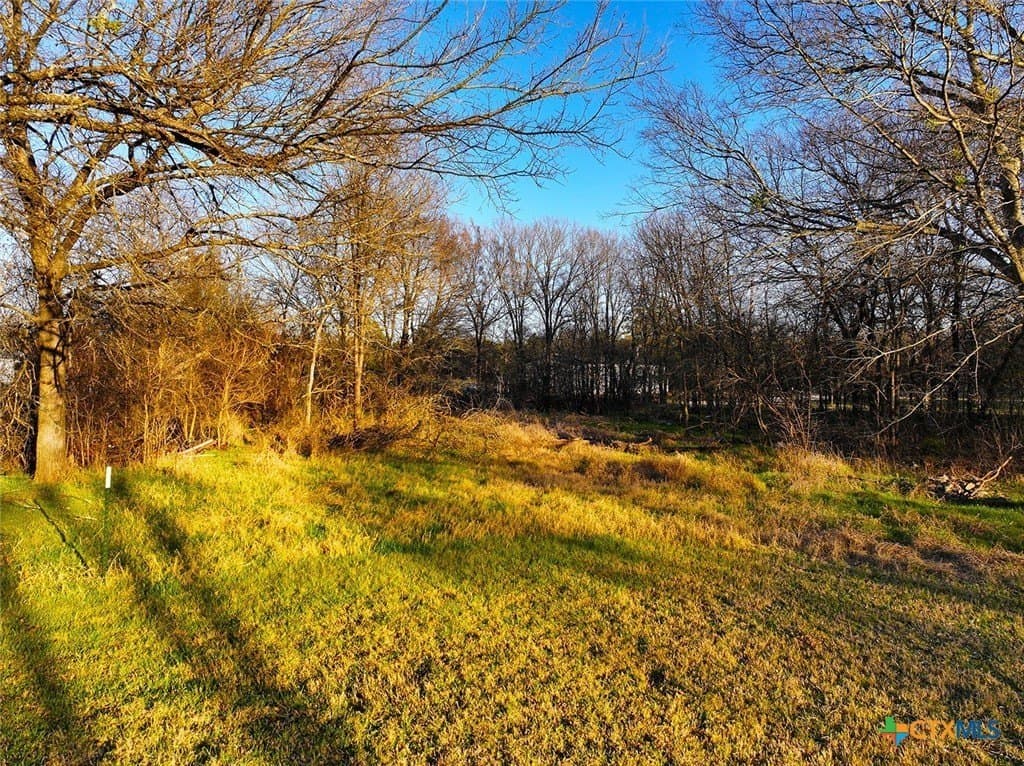 0.34 acres in Navarro County featured view