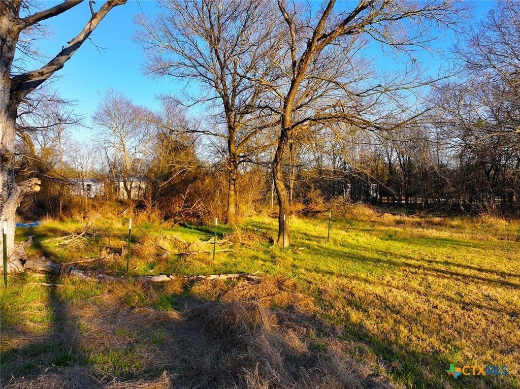 0.34 acres in Navarro County gallery image 4