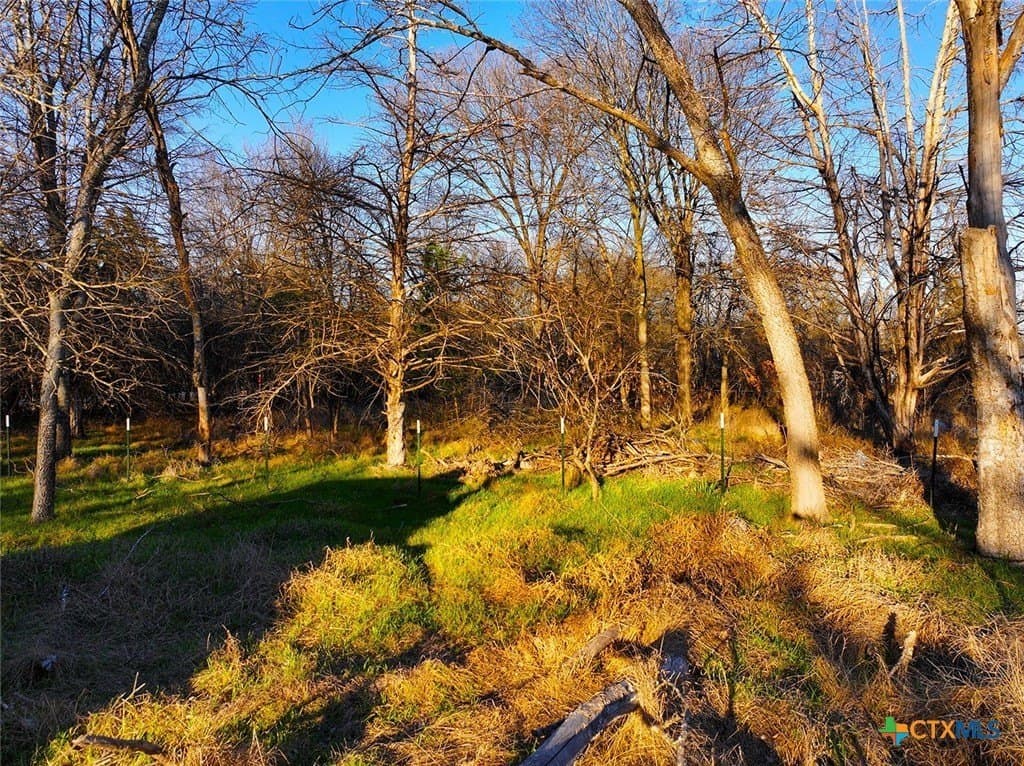 0.34 acres in Navarro County gallery image 3